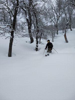 Лыжный тур в Арсланбоб